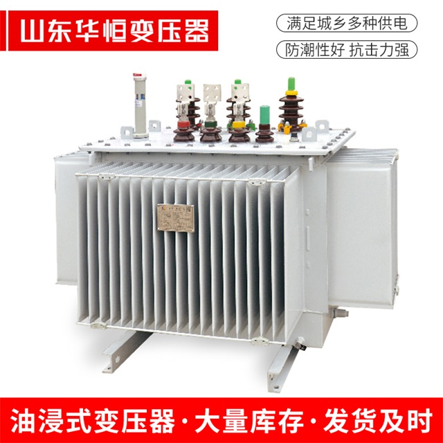 S13-10000/35嘉兴嘉兴嘉兴电力变压器