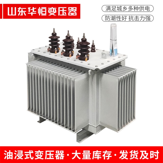 S11-10000/35嘉兴嘉兴嘉兴电力变压器价格